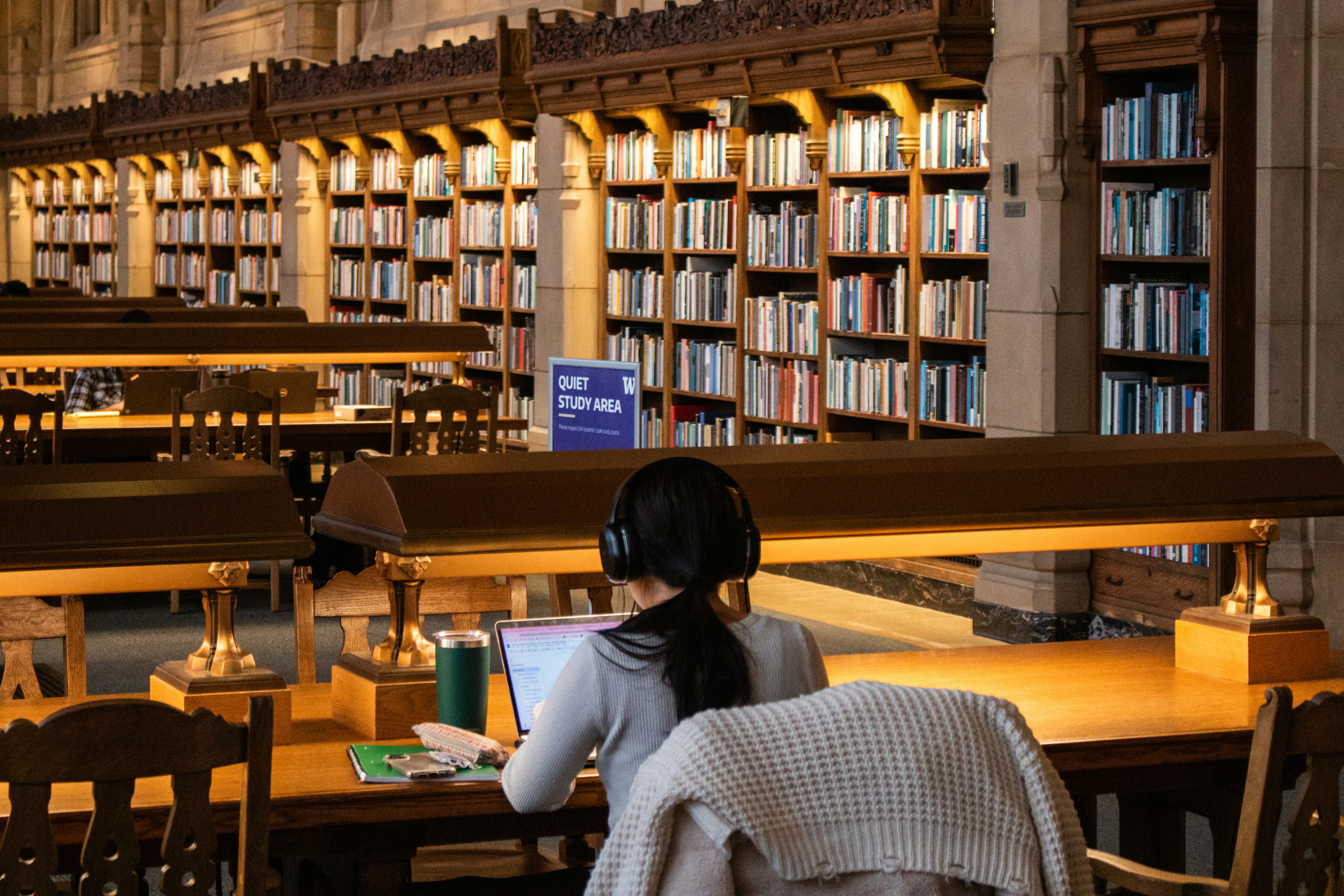 University student studying independently in a higher education library.